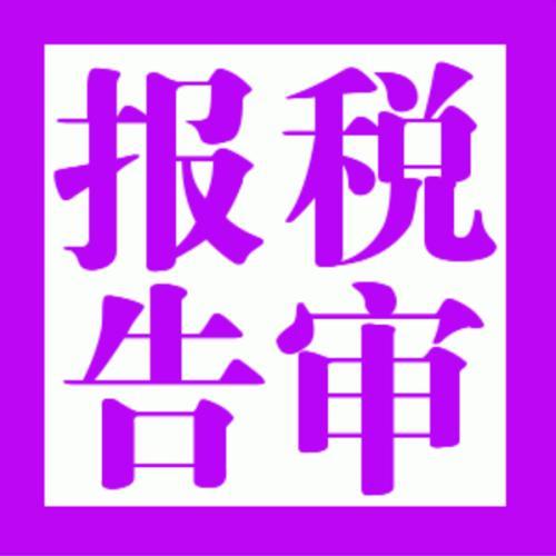 税审审计报告
